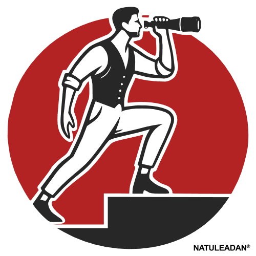 ADT Emprendimientos y Negocios